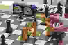 1000028526